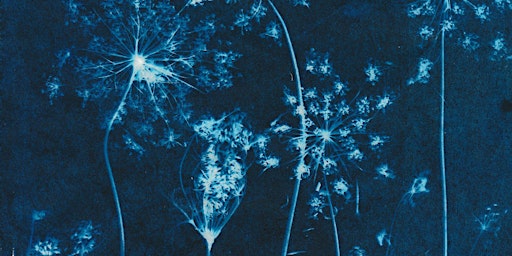 Hauptbild für Exploring Backyard Cyanotypes on Washi with Liz Menard