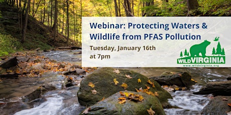 Imagen principal de Protecting Waters & Wildlife from PFAS Pollution in Virginia