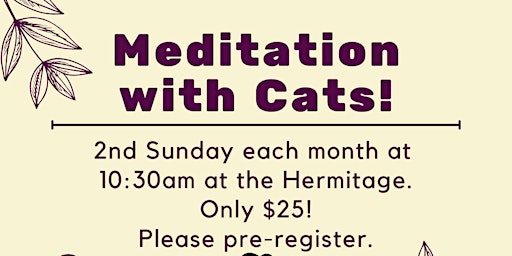 Imagem principal do evento Meditation with Cats