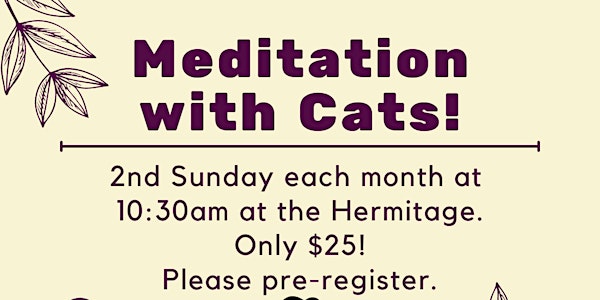Meditation with Cats