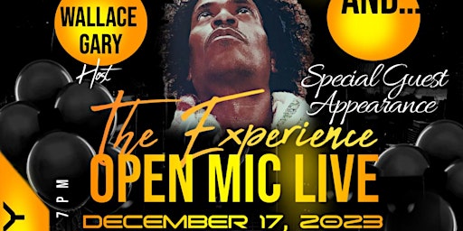 Imagem principal do evento "THE EXPERIENCE" OPEN MIC LIVE! Where everyone is a STAR!