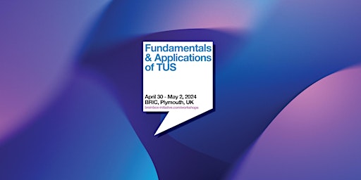 Primaire afbeelding van Fundamentals & Applications of TUS Workshop