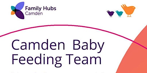 Camden Baby Feeding Team Antenatal Session primary image