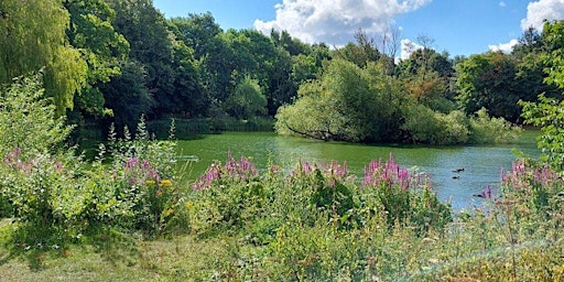 Hauptbild für Wellbeing walk for bereaved parents - April session