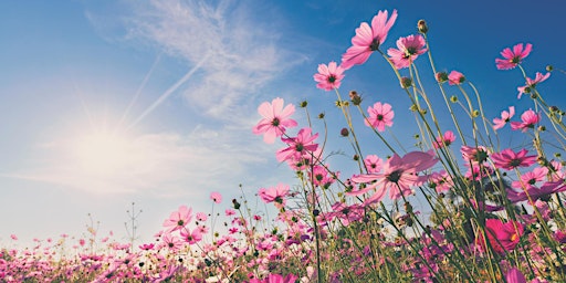 Hauptbild für Summer Bach (II)