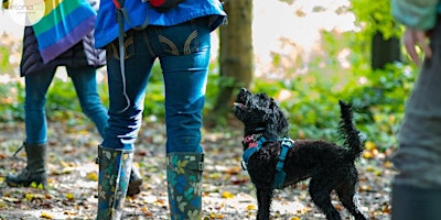 Rainbow Pooch in the Park / Rainbow Pooch yn y Parc  (Cardiff and the Vale) primary image