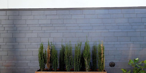 Natural Slate for Rainscreen & Direct Apply Cladding (AIA Credit) primary image