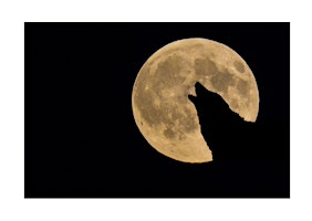 Full Moon Cleansing Gong Bath (Wolf Moon) primary image