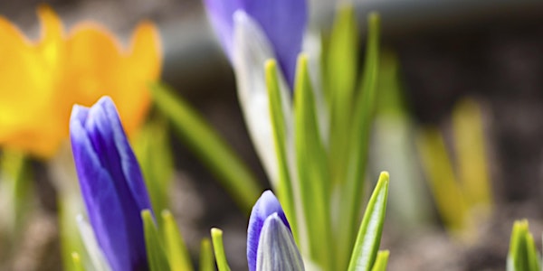 Wellness Series: Sleep Health - Cannon Falls 09/10/2019