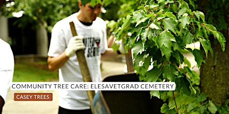 Community Tree Care: Elesavetgrad Cemetery primary image