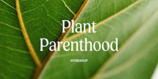 Image principale de Plant Parenthood Workshop