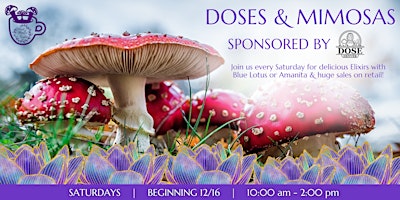 Primaire afbeelding van Doses & Mimosas: Psychedelic Resource Center Fundraiser!