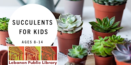 Succulents for Kids