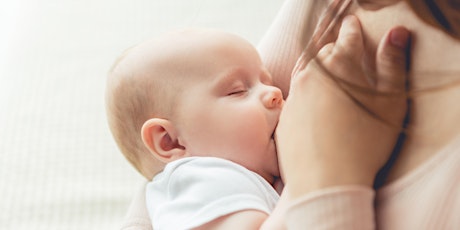 Image principale de Basic Breastfeeding Class