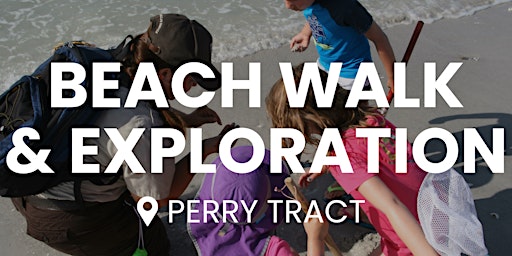 Beach Walk and Exploration primary image
