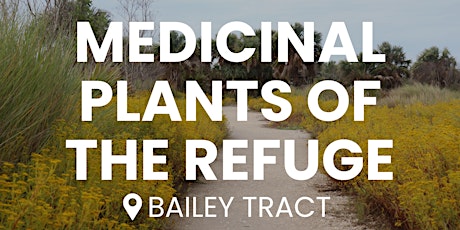 Medicinal Plants of the Refuge