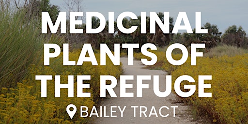 Medicinal Plants of the Refuge primary image