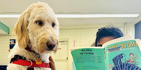 Imagem principal do evento Pups @ Putterham: Read to a Dog!