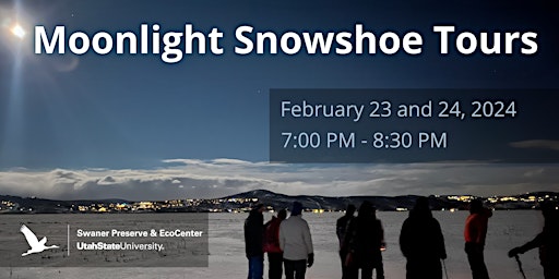 February Moonlight Snowshoe Tours primary image