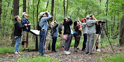 Spring Birding at Hawk Rise Sanctuary primary image