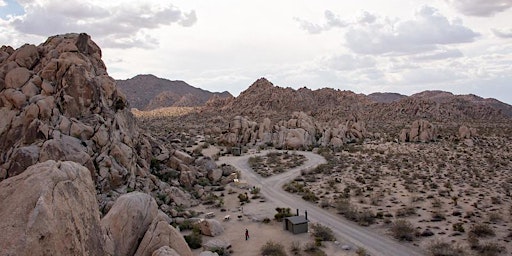 Desert Bath: An Immersive Experience  primärbild