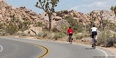 Imagem principal de Desert Ecology Bike Tour