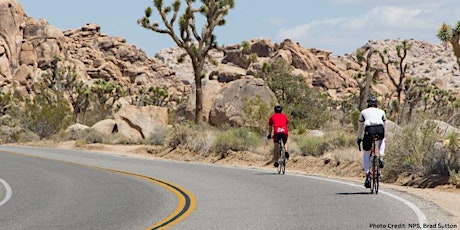 Desert Ecology Bike Tour