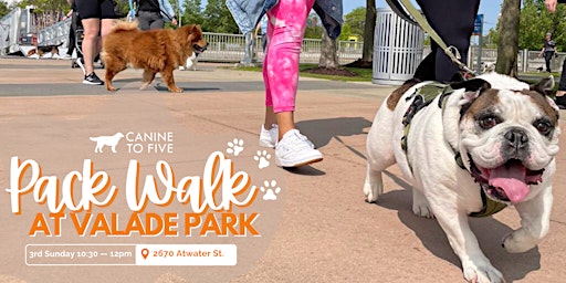 Image principale de Riverfront Pack Walk with Canine To Five