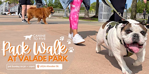 Primaire afbeelding van Riverfront Pack Walk with Canine To Five