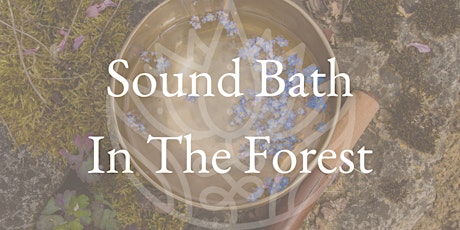 Sound Bath In The Forest