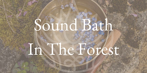 Imagem principal do evento Sound Bath In The Forest