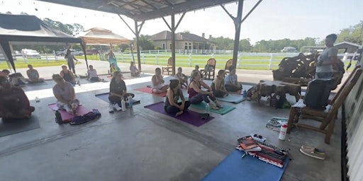 Immagine principale di Yoga Basics Workshop 