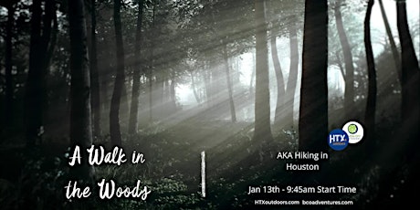 Imagen principal de A Walk in the Woods