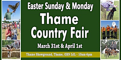 Thame Country Fair primary image