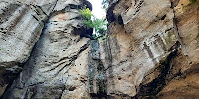 Spurensuche im Polenztal / Hohnstein primary image