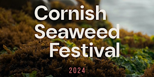 Imagem principal do evento Cornish Seaweed Festival 2024 (booking not required)