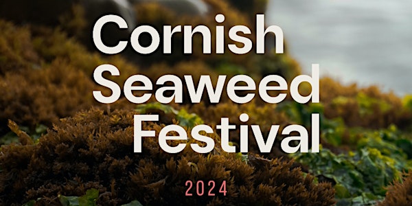 Cornish Seaweed Festival 2024 (booking not required)