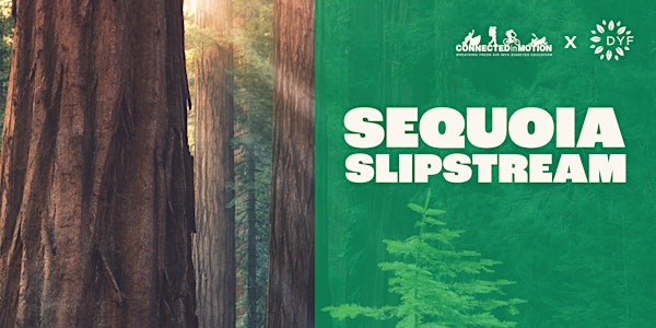 Sequoia Slipstream 2024