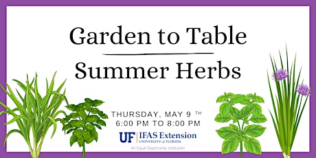 Image principale de Garden to Table: Summer Herbs