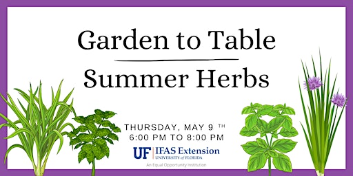 Garden to Table: Summer Herbs primary image