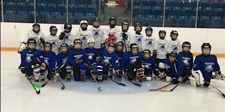 Summer Hockey Camp: August 6-9, 2024 (4 days)