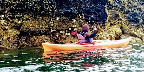 Tide Pool Exploration Kayaking Tour