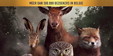 Primaire afbeelding van Onze natuur: het wilde Belgie