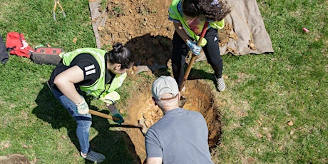 Volunteer: Community Tree Planting - The Park at LeDroit primary image