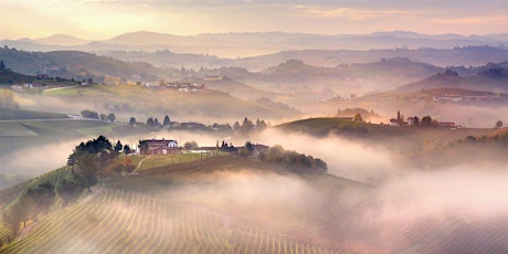 Image principale de A Discovery Tour of  Wines from Italy's Piemonte