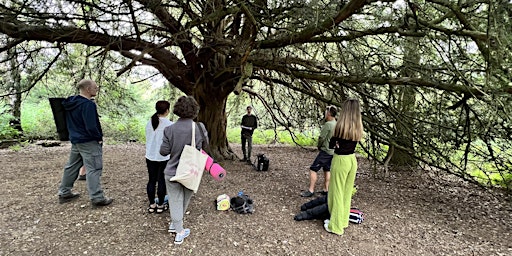 Imagem principal do evento Forest Bathing+ An Introduction at Alice Holt: Saturday 20th July 2024