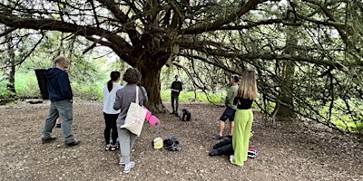 Forest Bathing+ An Introduction at Alice Holt: Saturday 20th July 2024 primary image