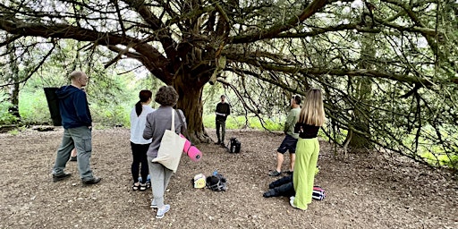 Imagem principal do evento Forest Bathing+ An Introduction at Alice Holt: Saturday 23rd March 2024