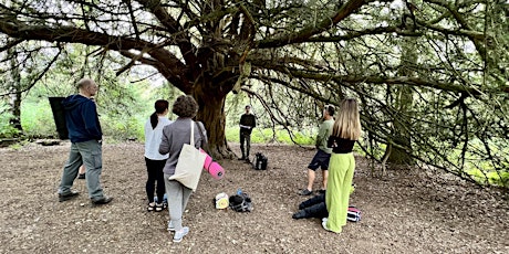 Forest Bathing+ An Introduction at Alice Holt: Saturday 27th April 2024