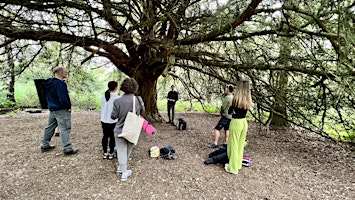Forest Bathing+ An Introduction at Alice Holt: Saturday 18th May 2024